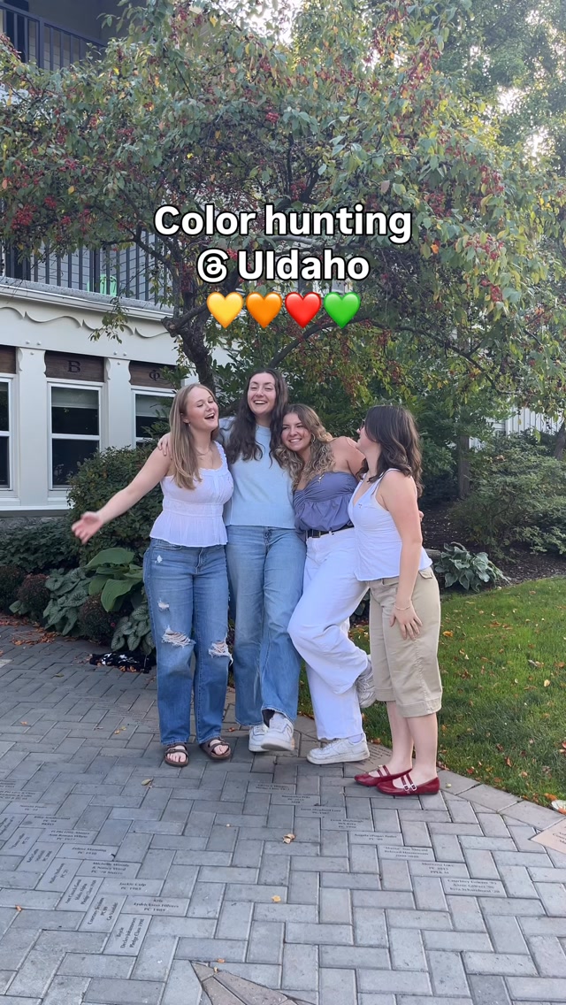 📸 💛🧡❤️💚