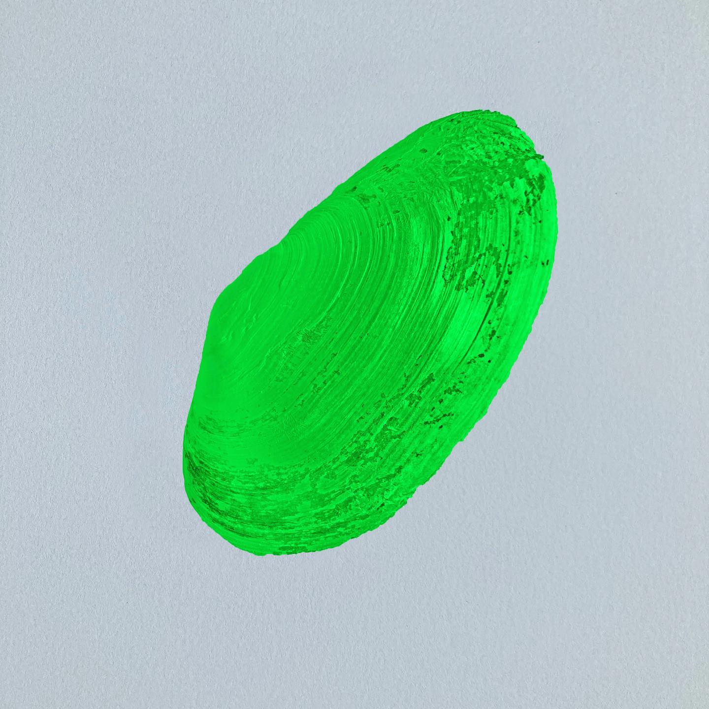 Hulk shell
Print on aluminium 29,53” x 39,37”
#beachart #beachartseries #artedeldía #artoftheday #fineartprint #artlovers #shell #shelllovers #beachlovers #artforsaleonline #artforsale #artofinstagram #femaleartist #instaarte #instaart #kunstaandemuur #instakunst #🐚