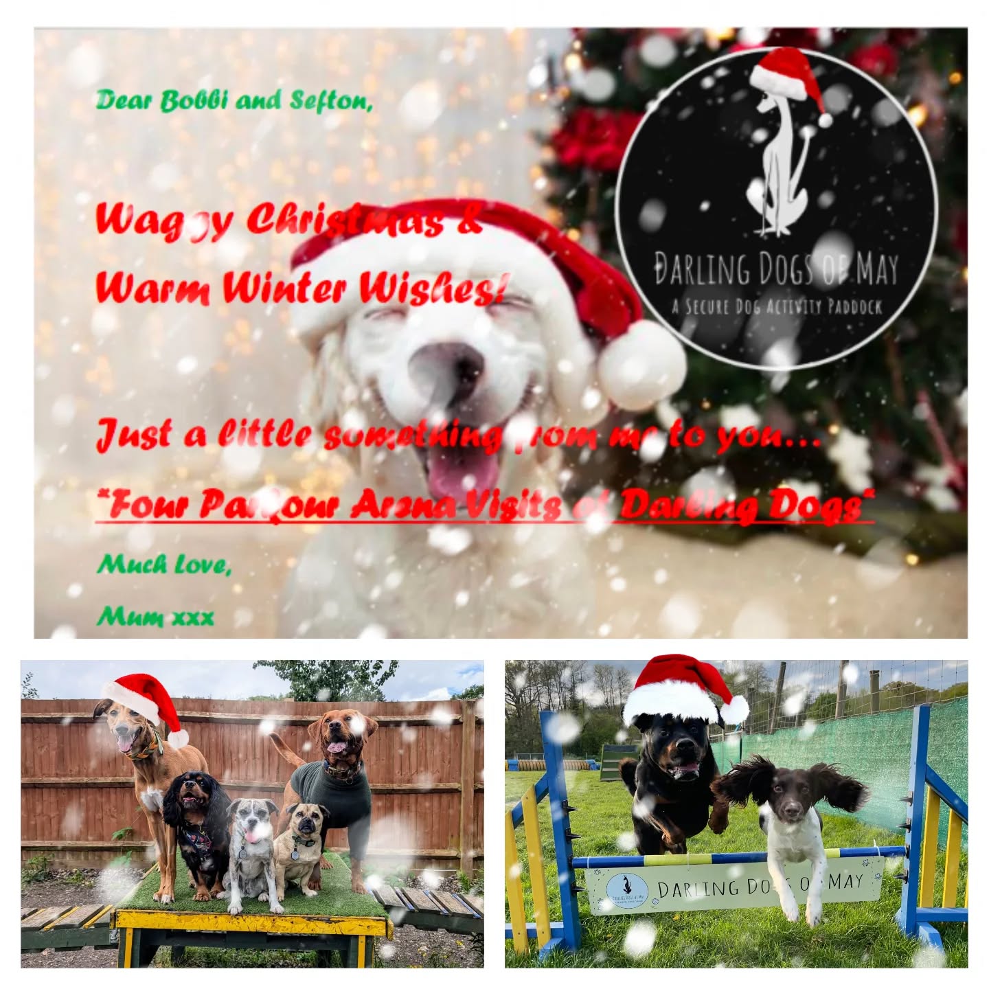 🎅🛷Looking for a stocking filler?🎁🎄
Our E-Cards are ideal. Send us the customized message that you'd like added to it and we'll prepare it for you. It can either be printed or emailed to your loved one.
Prices start from £14 for two visits.
Check out our website for further info.