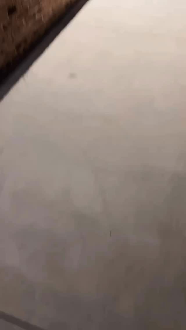 Something spooky’s brewing at Southern Tail… 👻🍺
We’ve gone all out this year — cobwebs, creatures, and a taproom so decked out it’s basically in costume too. 🕸️💀
Join us Halloween night for live music with Midnight South (8PM), themed cocktails, and our limited time only Vampire Wings. Costumes encouraged — the bigger the better. 🧛♀️🎶
Let’s make this Halloween one to howl about. 🍻🐾
📍Southern Tail Brewing
🗓️ October 31st (Halloween)
⏰ Music at 8 PM