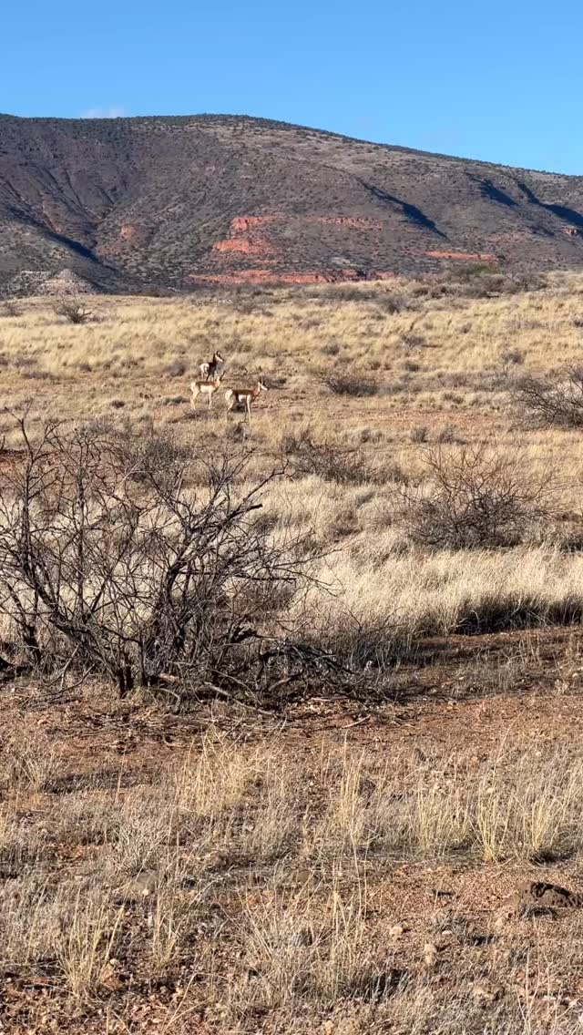 recharge your wonder.
.
PinDrop®️ takes you there.
.
#madeinusa #campinggear #camping #camp #pindroptraveltrailers #microcamper #travel #traveltrailer #teardroptrailer #trailer #hello #quiet