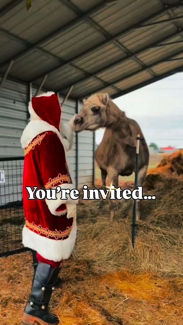 This season, we welcome you to wander and wonder with us. 🌲✨
Stroll the farm grounds at your own pace.
Say hi to your favorite animals.
Step into our holiday market and find trees, wreaths, garland, gifts, and all the little things that make the season feel bright.
Admission is complementary all Christmas season long.
Whether you come to make a memory, sip something warm, pick out the perfect tree, or just take in a little farm magic… you’re invited. Always.
See you soon,
💚 The Timm Family
🕙 Fridays, Saturdays, & Sundays through December 21st
📍 2983 SW Advance Rd, Wilsonville, OR
🌲No entry fee | Dog Friendly | Support Local