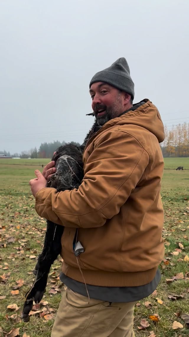 Last baby of the season is a… GIRL!!!!!
Send us name ideas- needs to have “Queen” in the name.
Mom & baby will be out this weekend for you to meet.