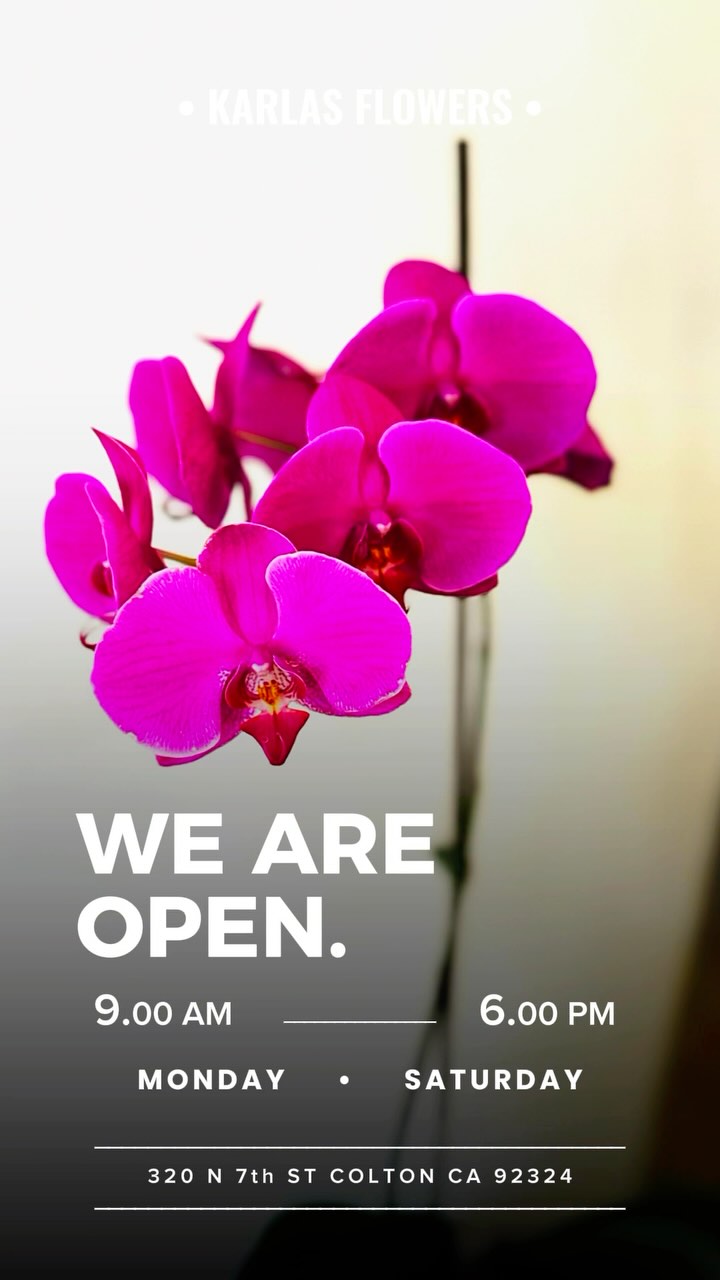 We are Open and ready to serve you 😁🌸
#flowers #flowershop #flowershoplife #weareopen #supportsmallbusiness #supportlocal #supportlocalbusiness #womanownedbusiness #familyownedbusiness #latinobusiness