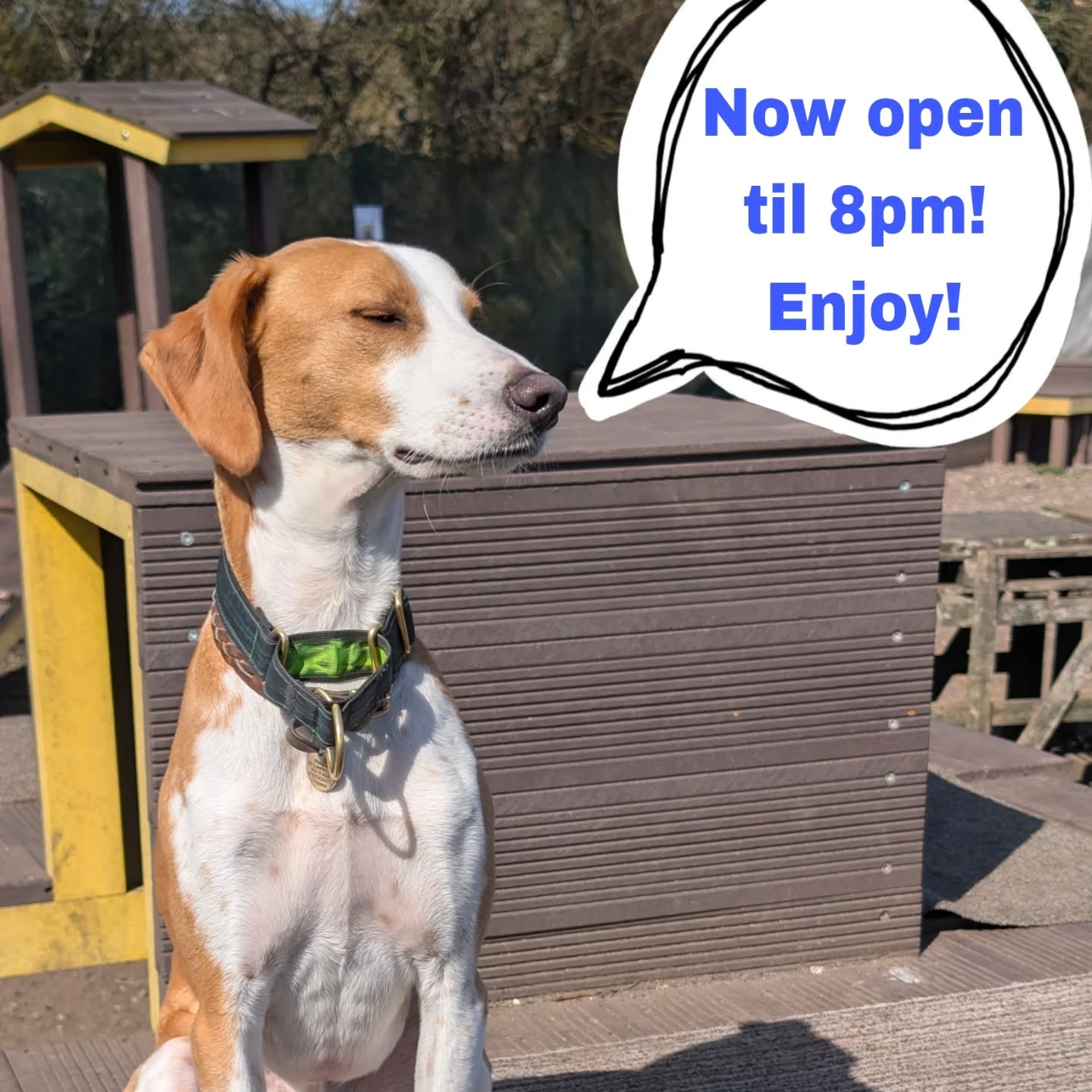 📣📣Just a quick little announcement 📣📣
Especially useful when it's super hot and you'd like cooler times of the day!
Book now!