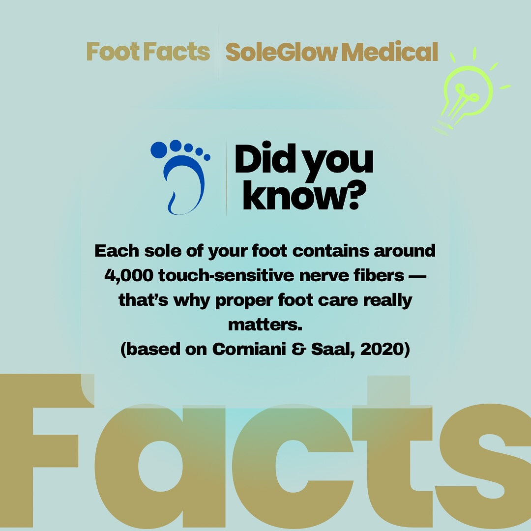 👣 Did You Know This About Your Feet?
Each sole of your foot contains around 4,000 tactile nerve fibers — making it one of the most sensitive areas of your body! 🧠✨
These nerves help you balance, sense pressure, detect vibration, and respond to pain or injury — every step of the way.
This is why small issues like thickened nails, corns, or calluses can cause big discomfort — and why professional foot care isn’t just cosmetic, it’s essential. 💚
📚 Referenced from:
Corniani, G., & Saal, H. P. (2020). Tactile innervation densities across the whole body. Journal of Neurophysiology.
At SoleGlow Medical, we treat every foot with the care it deserves — because foot health is full-body health. 👩⚕️
#FootCareFacts #SoleGlowMedical #HealthyFeetHappyLife #EdmontonNurse #FootHealthEducation #MobileFootCare #CompassionInCare #NerveEndings #PodiatricCare #ScienceAndCare