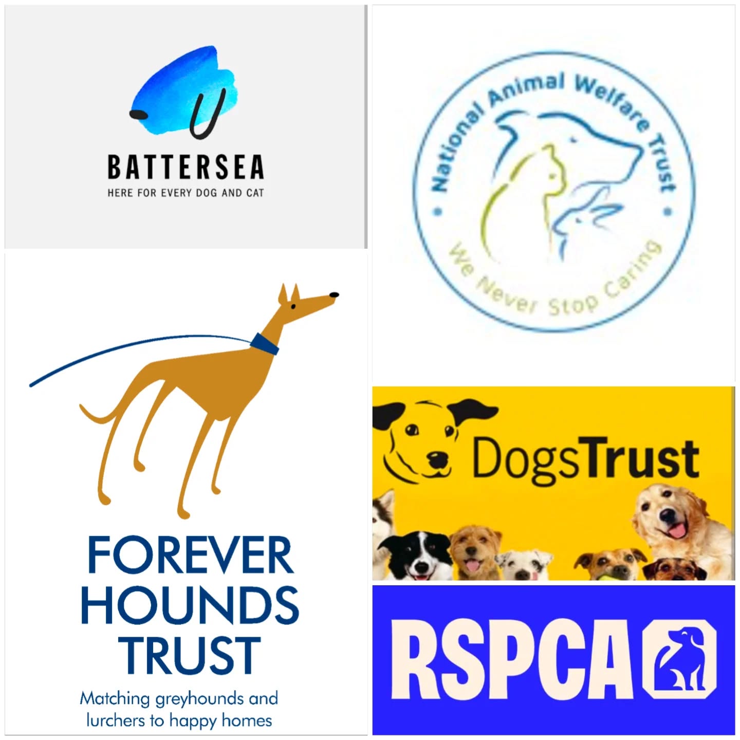 RESCUE DOG OWNERS! WE NEED YOUR HELP!
At Darling Dogs of May, we understand how enriching and rewarding rescuing dogs can be. Over the years, we've rescued a number of dogs in need and we can attest to this. All of our current dogs are rescues.
Throughout the months of July & August, we'd like to raise awareness of Dog Rescue by inviting our Paddock and Parkour Arena users to share their (and their dog's) stories. We'd love to hear your accounts so we can educate and highlight what it's ACTUALLY like to rescue a dog in need. We want to dispell the myths and also relay the reality.
So what would we like from you? On our website, you can find a contact form where you can share your account of rescuing a dog, share pictures and, ultimately, help us to highlight what it is really like.
https://www.darlingdogsofmay.co.uk/dog-rescue-awareness-month
Oh, and as a reward, you'll receive a FREE visit to one of our enclosures (your choice as to which one).