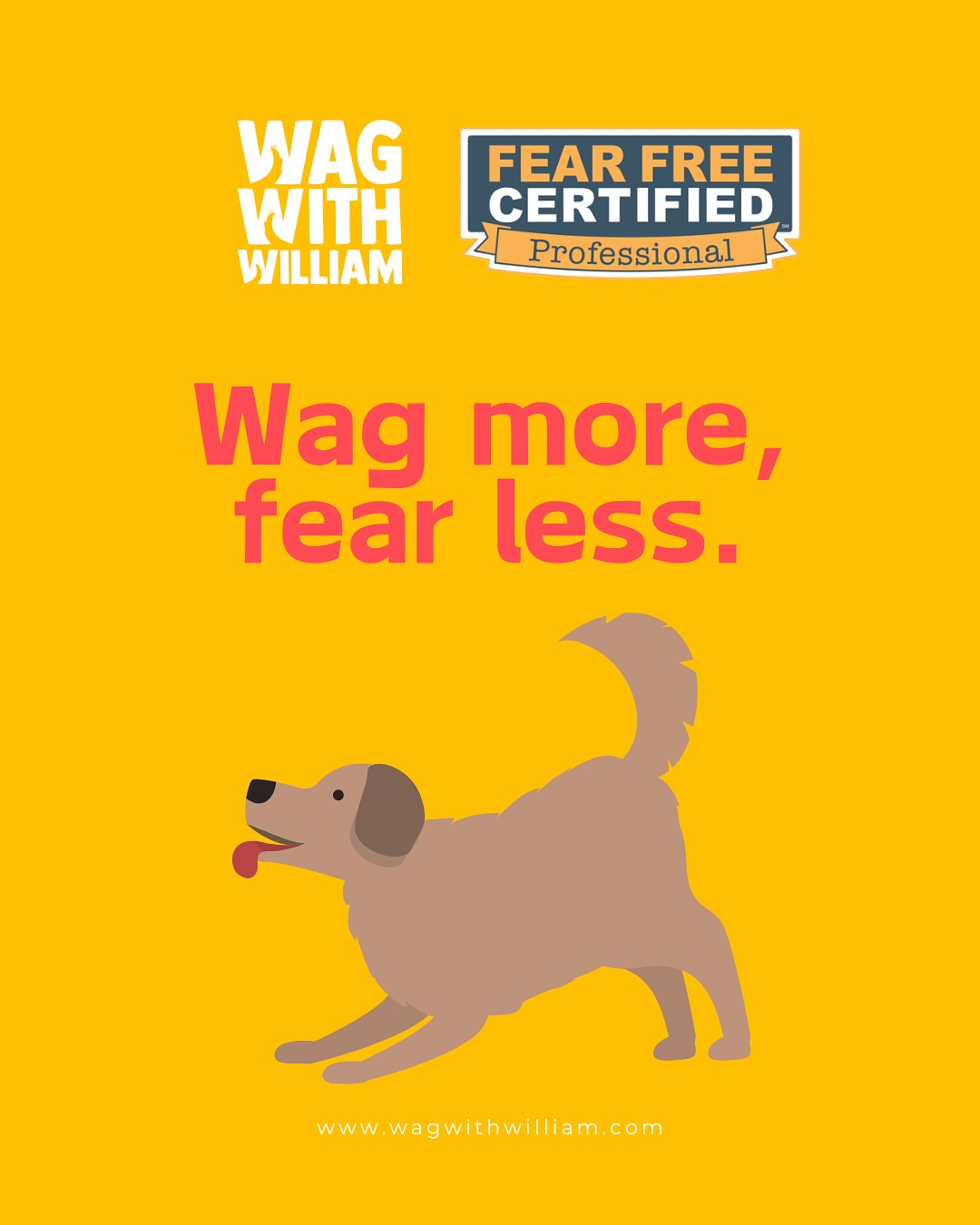 Big smiles, bigger wags ๐๐ #FearFreeTraining #WagWithWilliam