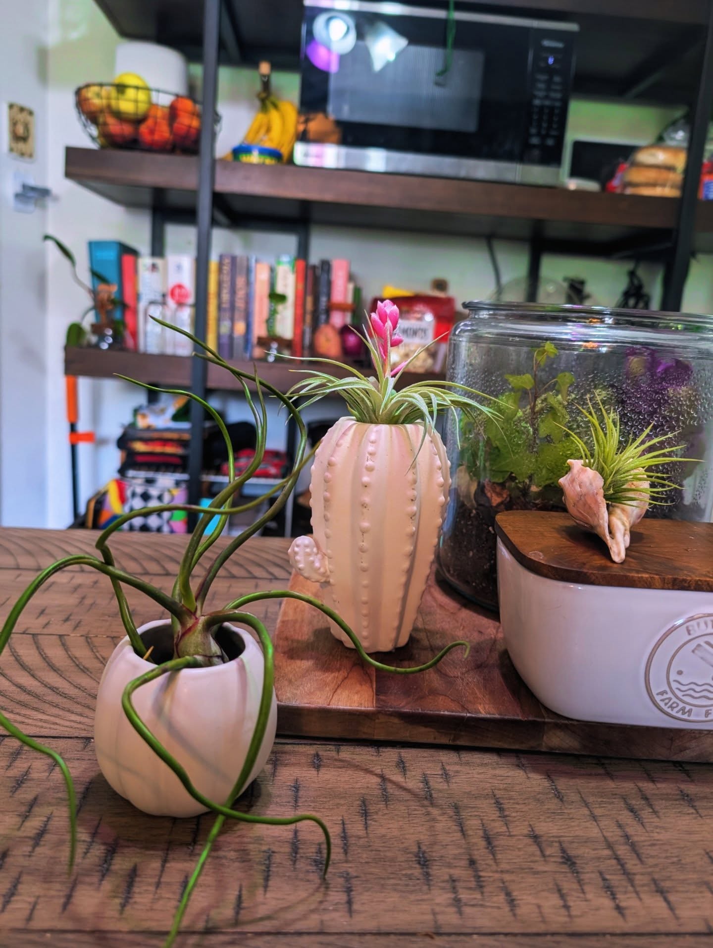 Happy Monday!
If it isn't obvious Iām fairly obsessed with paper flowers, but I love mixing them with real ones too. Hereās my latest bunch. I hope they add a little brightness to your dayšš±
#HappyMonday #FlowerLove #PaperFlowers #HandmadeFlowers #UpcycledArt #EcoFriendlyDecor #FlowerBouquet #SustainableStyle #HandmadeWithLove #CraftedWithCare #BroadwayInspired #GiftIdeas #UniqueGifts #EcoChic #HomeDecorInspo #BloomWithStyle #CreativeLiving #SupportSmallBusiness #MizunasButtonsAndBows