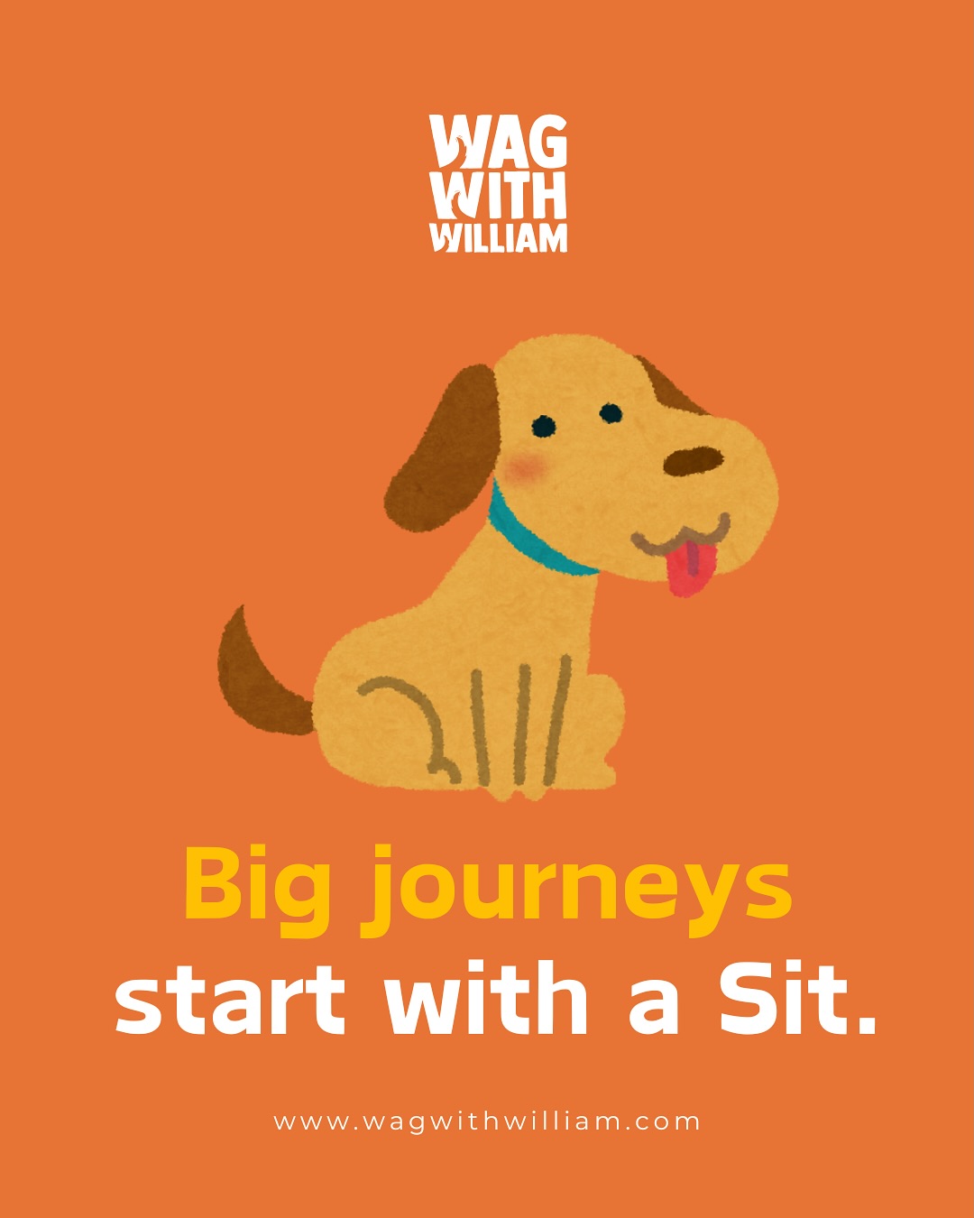 Every great adventure begins with one small cue: Sit. #WagWithWilliam #FearFreeTraining