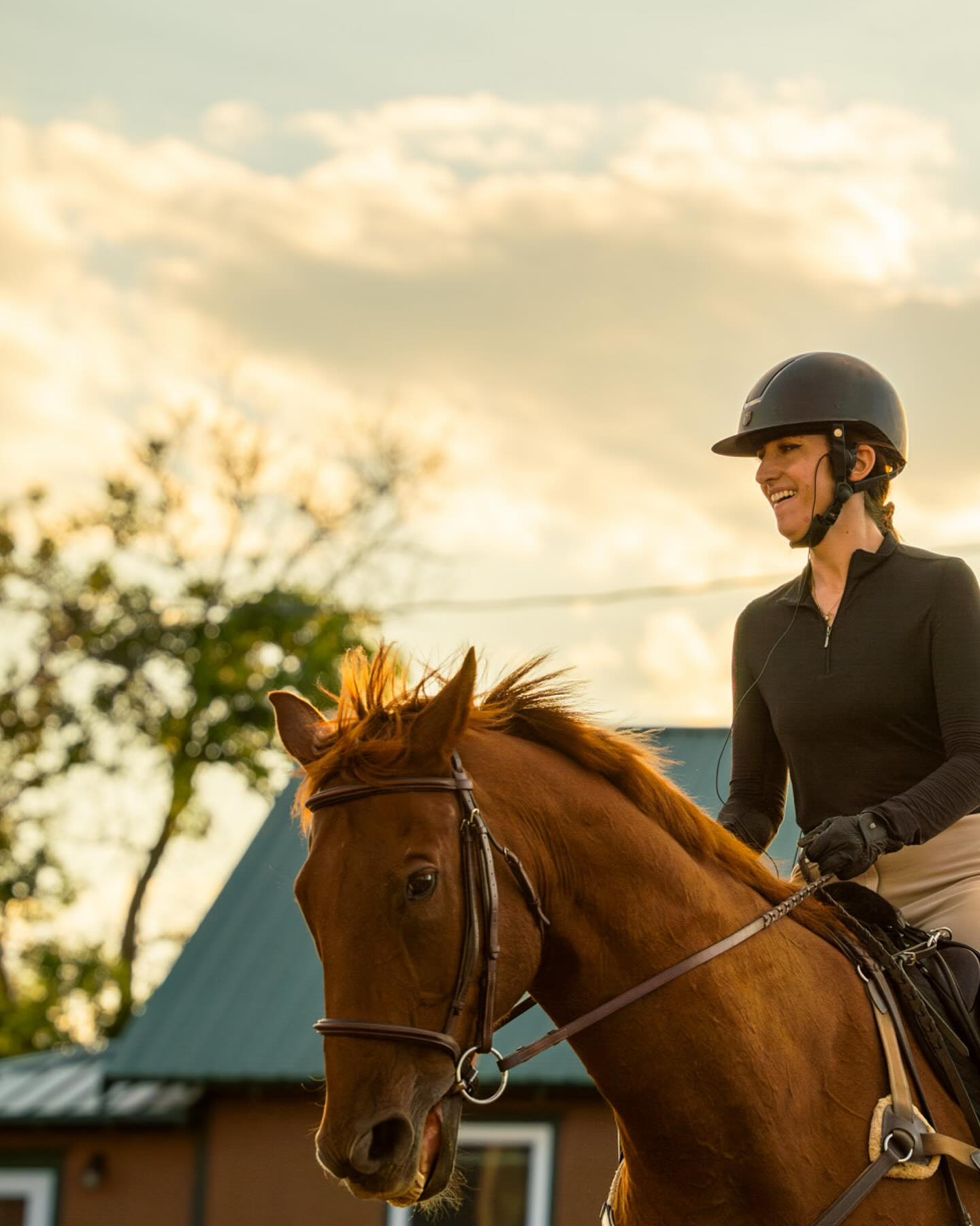 More horsing around
📸 A7III