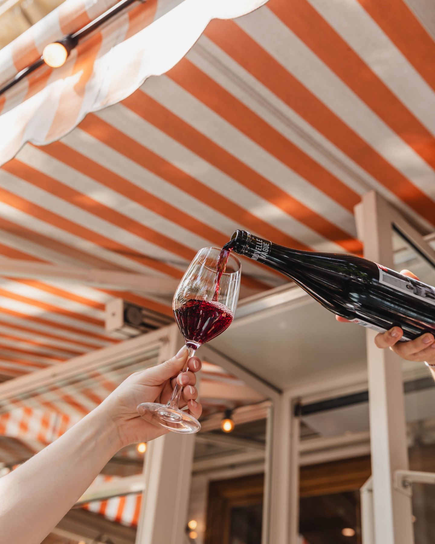 Nos vins nat' pour accompagner vos plats 🍷