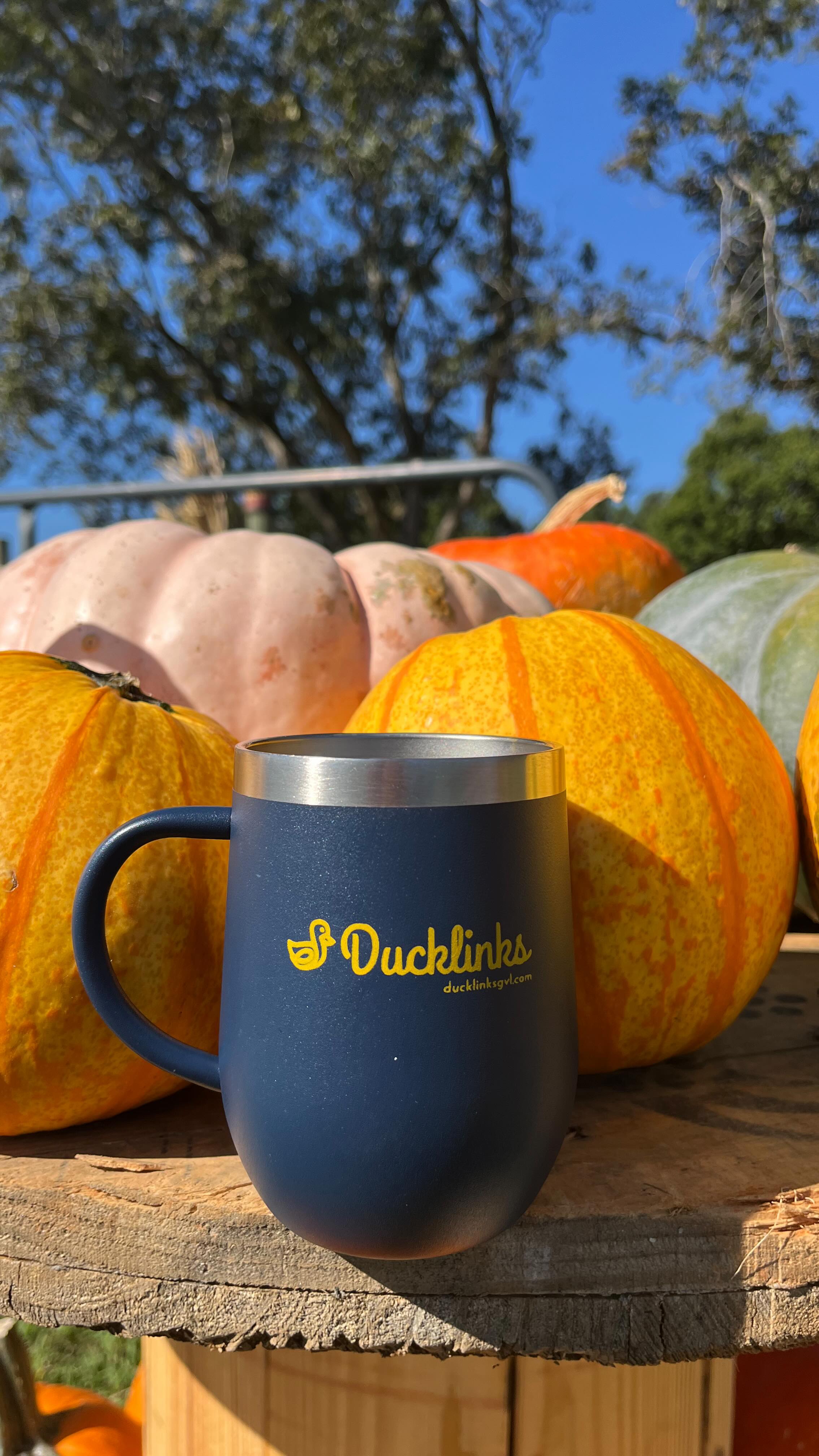 🫧🐥 Fall on the Farm with a fresh family-run spin. Dirt & Grit Farm’s very first Fall on the Farm offers a slower-paced, family-first alternative to the big festivals. 🌻🍂🎃
Just 30 mins from Greenville,SC (and even closer for our friends in Simpsonville!), this family-run farm is opening their gates for their first ever fall season—and it’s packed with memory-making fun.
🗓️ October 3-19
Wednesday- Saturday
⏰ 10:00 AM to 7:00 PM
Sunday
⏰ 12:00 PM to 7:00 PM
👩🌾 What to Do
🌸 U-Pick Dahlias, Sunflowers, Zinnias + other flower varieties
🎃 Pick a pumpkin (or two!) from a neighboring SC farm
🐐 Visit furry + bristled farm friends
🌳 An all-new Play Grove featuring:
✨ Two Giant Jump Pads (one just for littles!)
🚜 Dig Zone + 🪨 Sound Garden
🫧 Bubble Station + Yard Games
🎟 Admission
👨👩👧 Ages 11+ → $8 • Ages 3–10 → $5
👶 Ages 2 & under → FREE
👴 Seniors (60+) & Military → 10% off
🎃 admission includes a mini pumpkin while supplies last!
🌸 U-Pick Cup of Flowers → $15
🎃 Pumpkins $2–$13
🐐 Feed the Animals for 50 cents a cup or 3 cups for $1
💳 Cash, Card + Venmo accepted
💡 Insider Quack
✨ Bring a wagon for pumpkins (and tired kiddos)
👟 Closed-toe shoes recommended (fields can get muddy)
🍼 Farm is stroller + wheelchair friendly (expect gravel + soft ground in fields)
🚽 Porta potties on-site
🧺 Pack a picnic + plan for a fall fun filled day on the farm
📍 Dirt & Grit Farm
3456 Harris Bridge Rd
Woodruff, SC 29388
Spread your wings with wide-open spaces, thoughtful play, and slow moments that stick.
🍂 Happy Fall Ya’ll
🐥 Quack, Quack!
💙 #DucklinksGVL