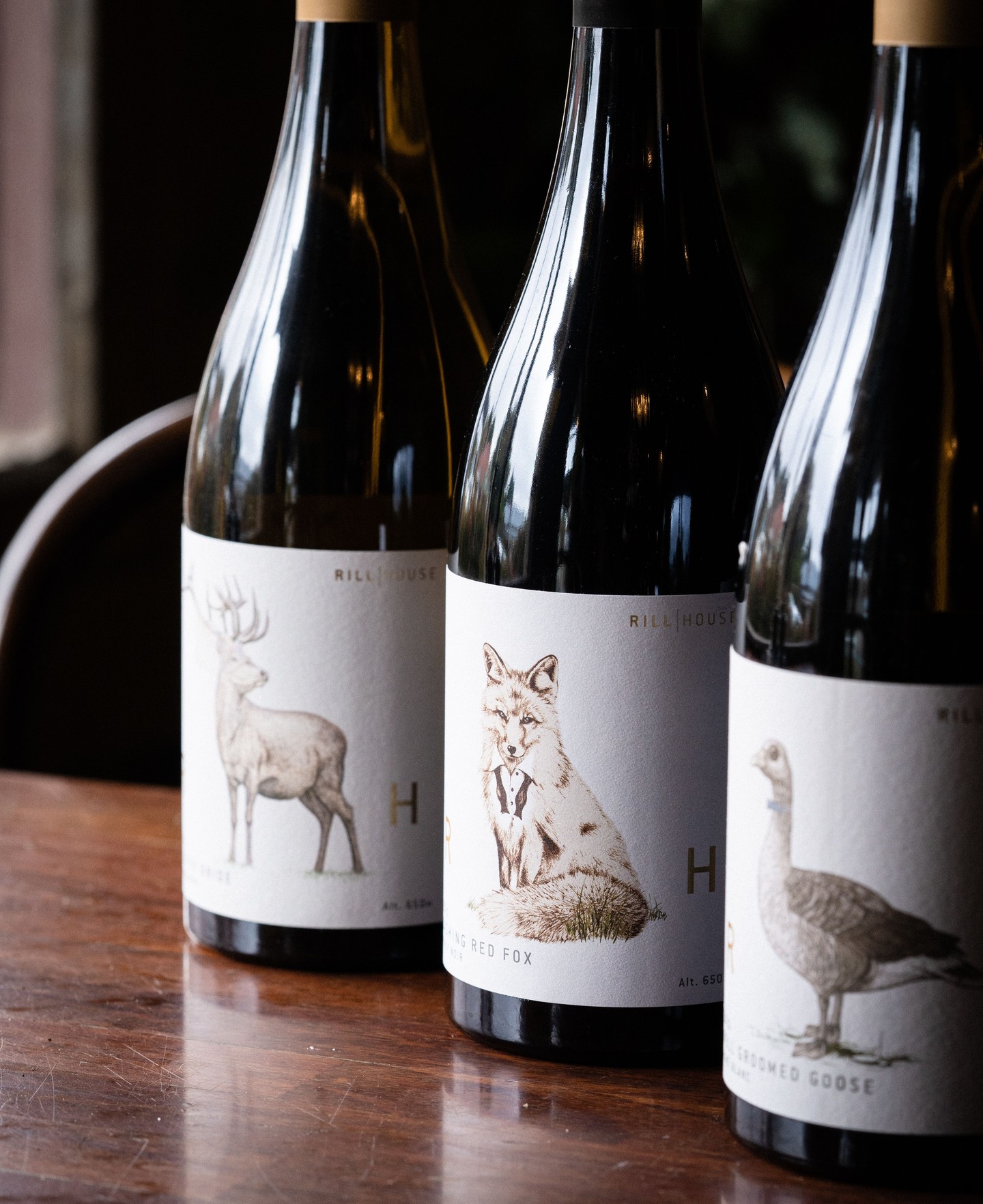 Whimsical fine wine from our friends at @rillhousevineyard, masters at cool climate viticulture, one of our closest neighbours and suppliers of wine.
Enjoy at the table, or stop by the wine room and choose a varietal to take with you.
.
.
.
.
#trentham #hepburnshire #daylesfordmacedonlife #macedonranges #cosmotrentham #thecosmopolitanhotel #onehourout #onehouroutofmelbourne #melbournefoodie #daylesfordmacedonlife #macedonrangeswine #countryvictoria #regionalvictoria #visitmacedonranges #visitvictoria