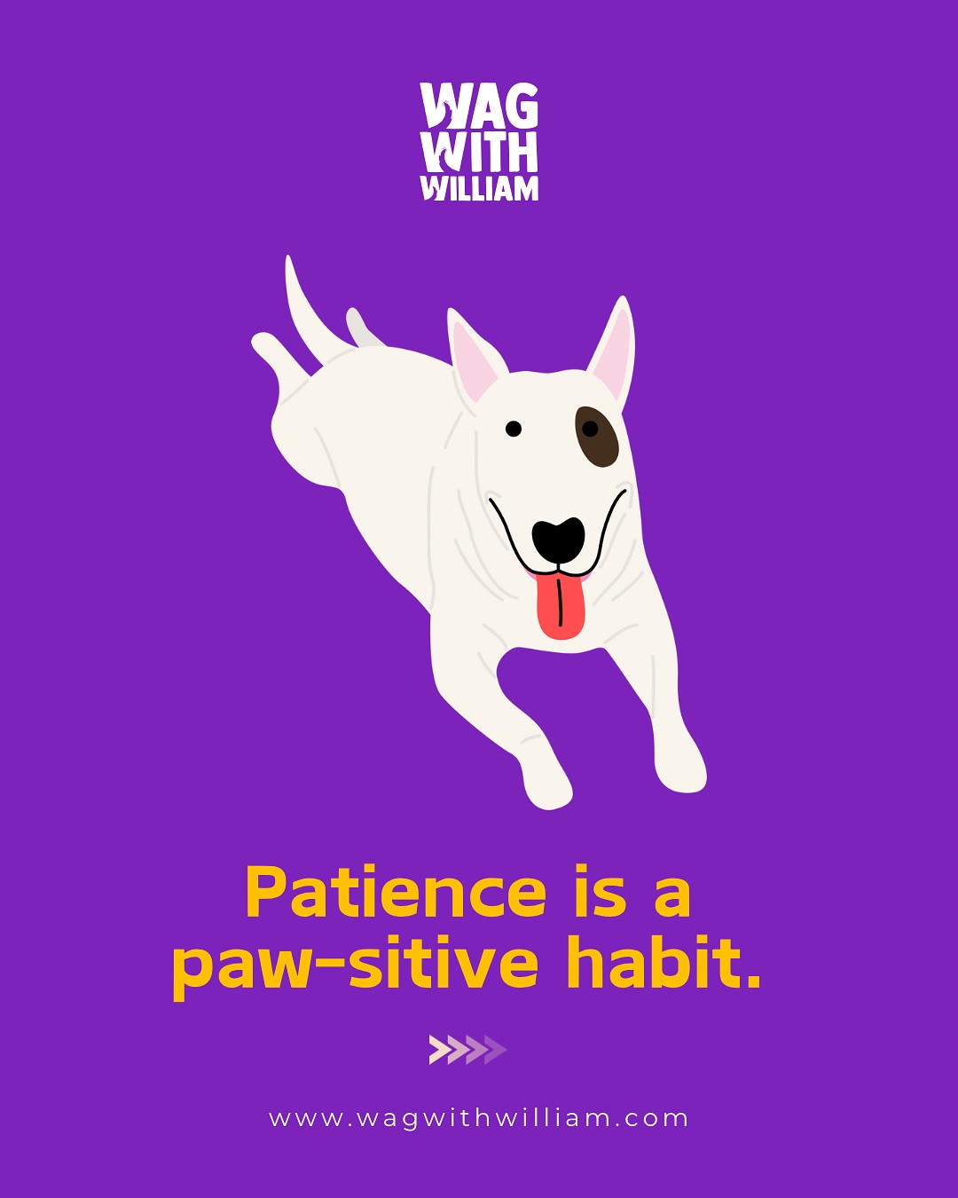 Patience builds trust โ one treat at a time ๐ฆด๐ #PositiveReinforcement #WagWithWilliam #FearFreeTraining #PositiveReinforcement
