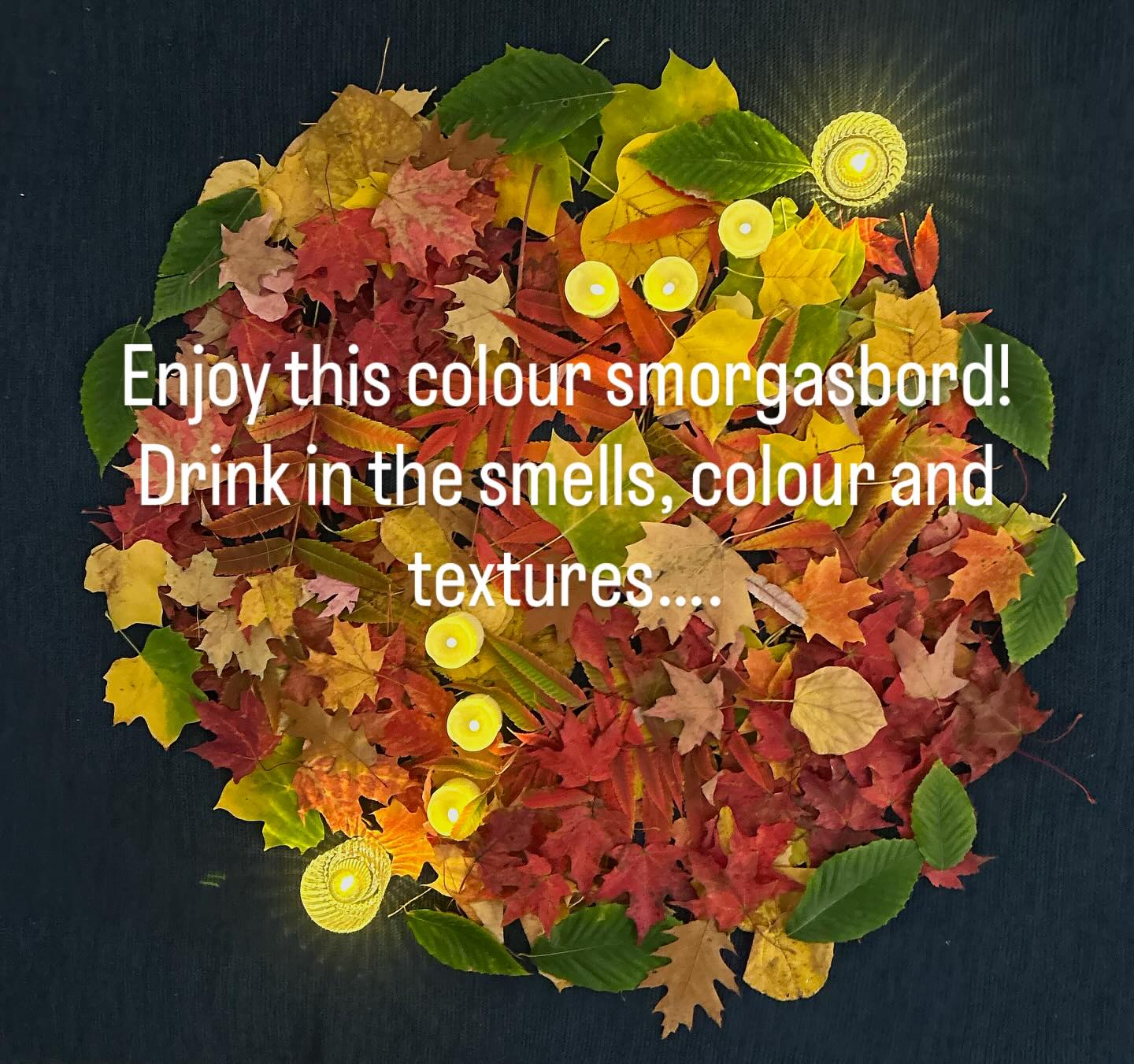 Enjoying this amazing Autumn pinnacle of colour time. It goes by so fast…inviting all to get out and take a slow walk with their senses. This time goes by so fast!