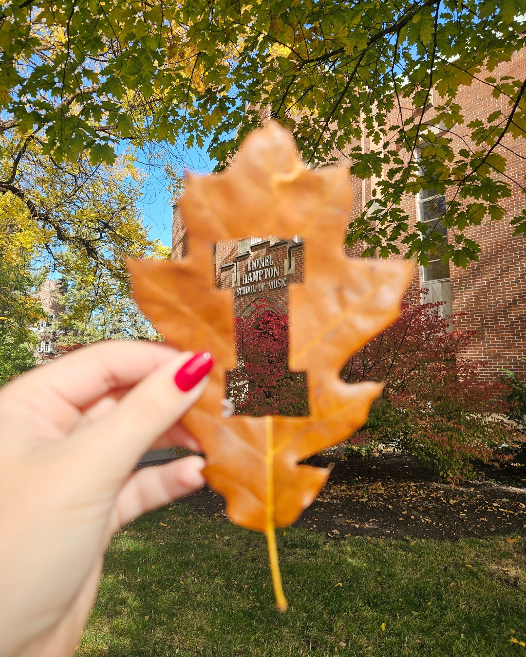 Autumn through our I's. 👀🍁
#Autumn #UIdaho #Fall