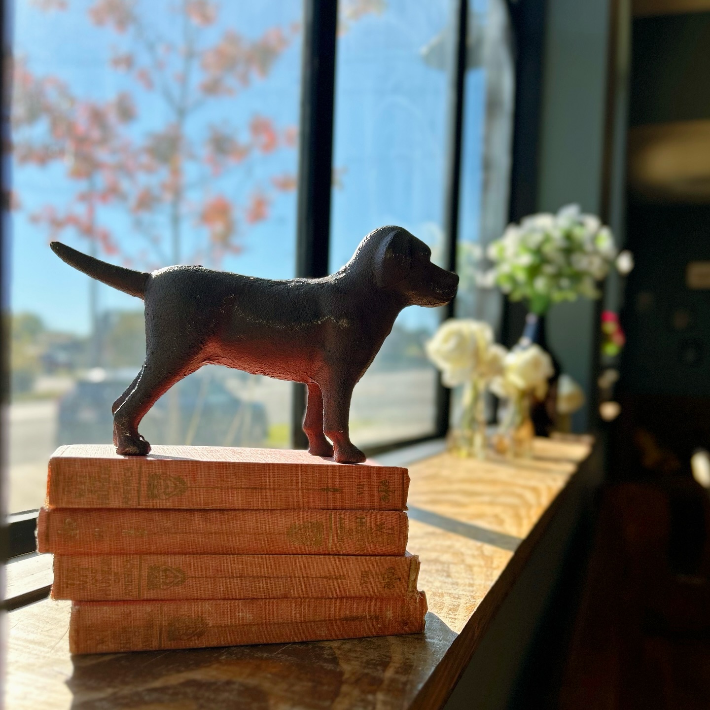 Nothing cures the Monday blues like a cold beer and a little friendly competition. 🍻
Trivia Night is back tomorrow at 7PM in the barrel room — come play, laugh, and maybe even win some bragging rights. 🧠
📍 Southern Tail Brewing, in the BARREL ROOM
🗓️ Every Monday
⏰ 7 PM