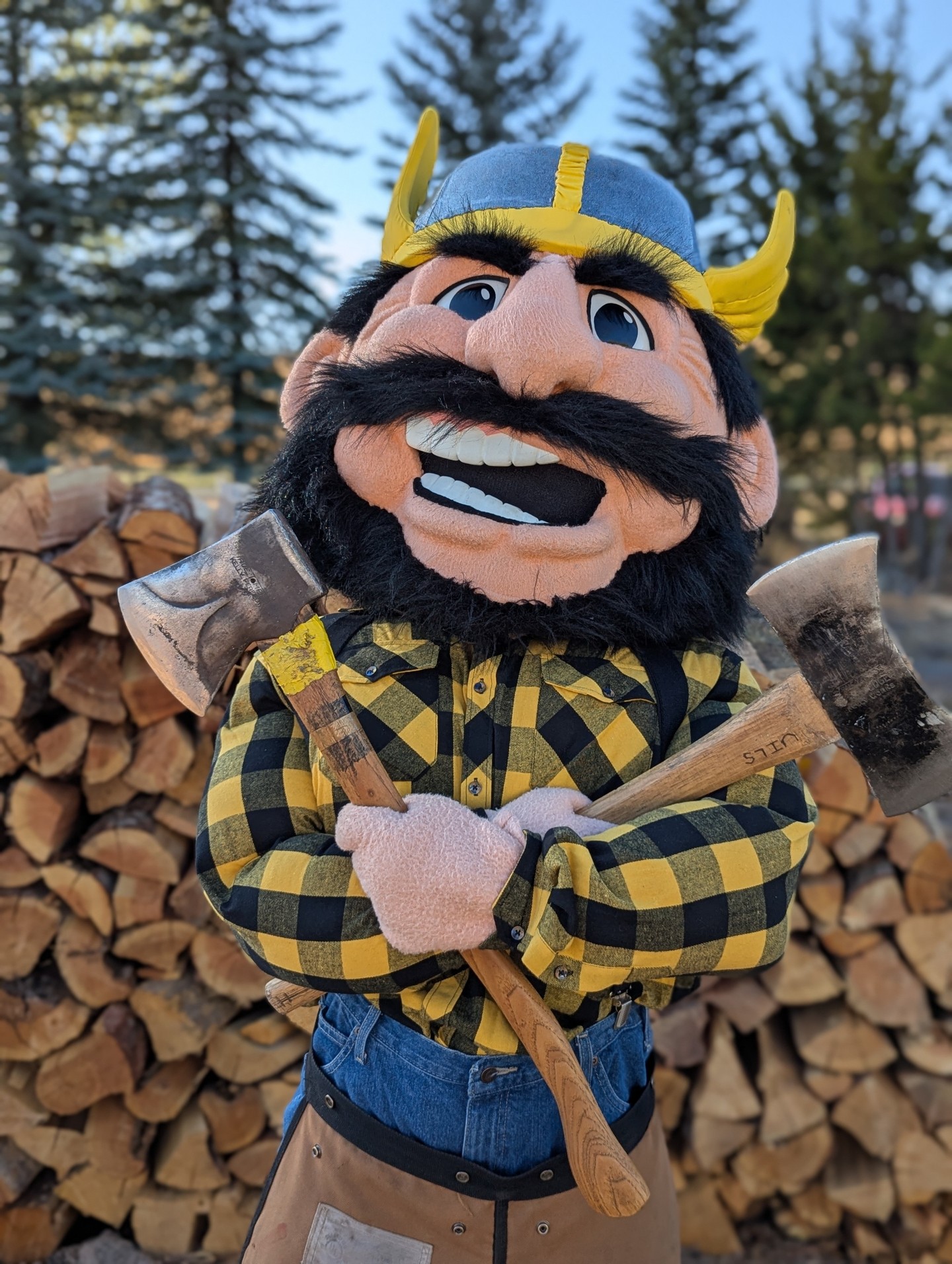 Chop chop Joe!  Winter's coming. 🪓❄️
Big shout to the @idahologgersports team for having Joe out to the arena. 
Good luck on your Vandal Jack Classic Nov. 8-9. 
#CollegeLife #BestMascot #Forestry #NaturalResources #UIdaho