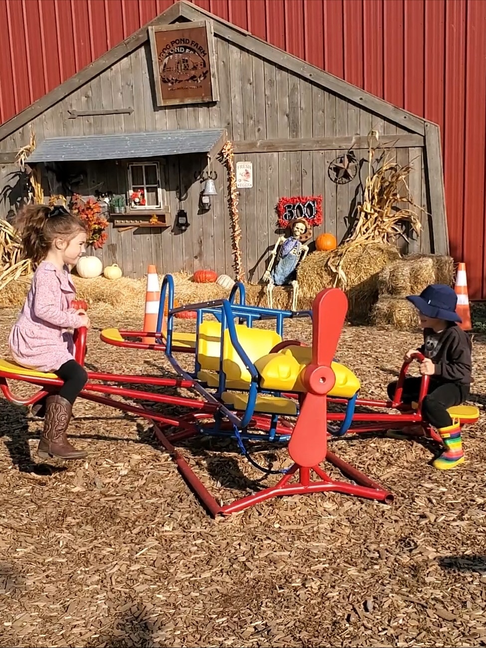 Happy Halloween! 🎃🦙🐪
Today’s your last chance to experience all of THIS! We’re open until 5 PM — come celebrate the final day of pumpkin patch season! 💚
🎄 Reminder: The farm will take a short break from November 1–20 as we get ready to transform into full Christmas magic. See you again starting November 21!