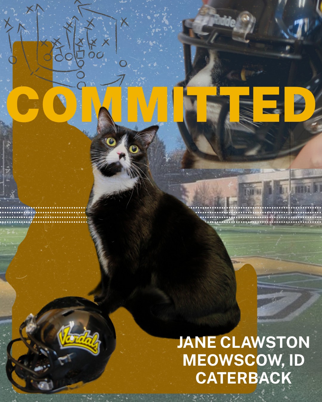You could say we're "feline" good about this new addition! 
With agility and evasion, Clawston has nine lives, zero sacks and one heck of a paw fake. 
@IdahoVandalsFb 😉
#CatDay #Jokes #GoVandals #UIdaho