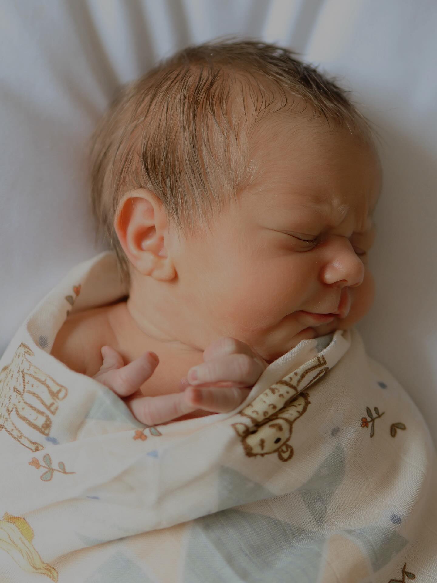 Wrapped in love 🤎 featuring our French Farmhouse swaddle wrap
This breathtaking photo by @lovelenny.photography for @tateleh and her newborn baby boy. I cannot even deal with how beautiful these photos are!!