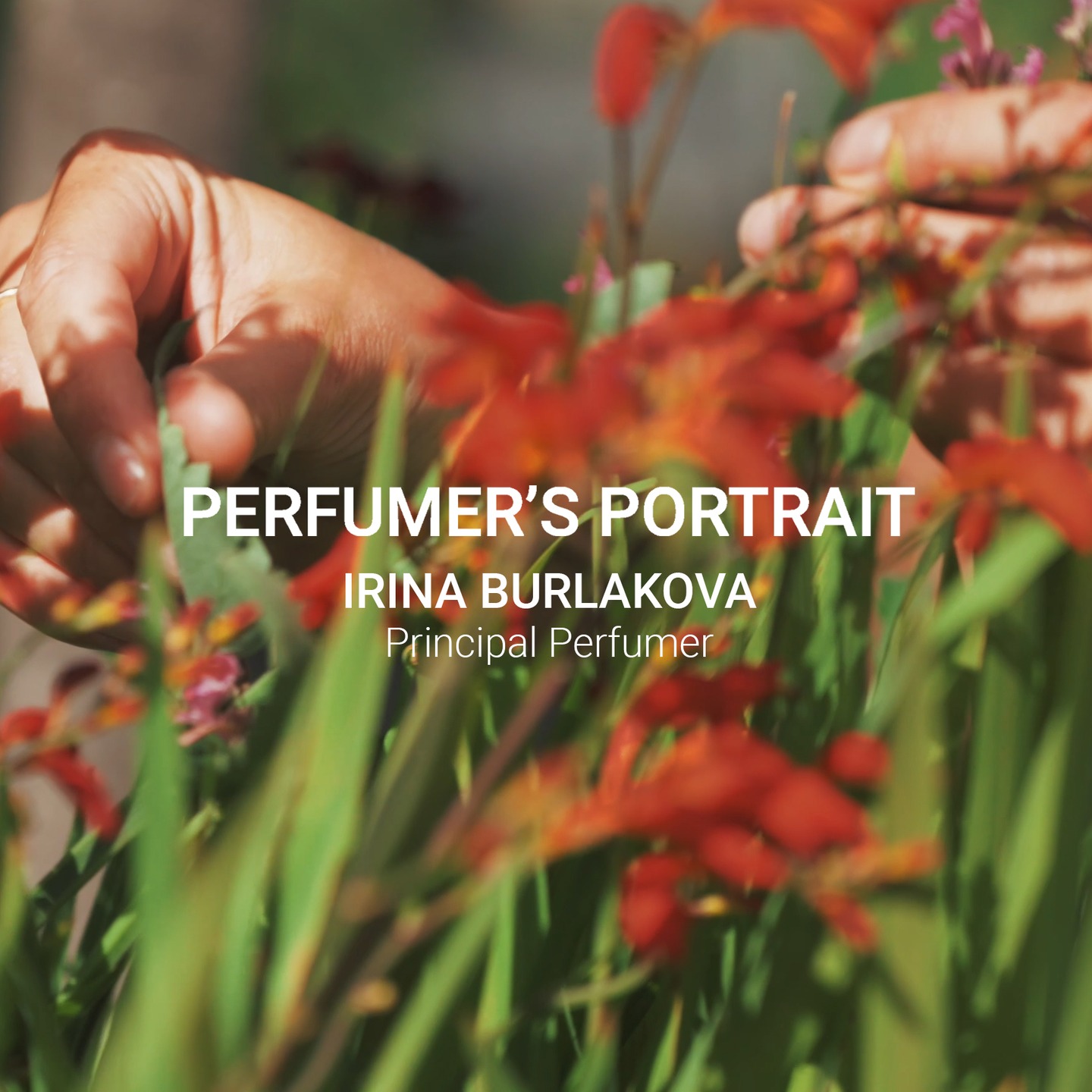 It’s been one year since Irina Burlakova joined us and what an inspiring year it has been! With her deep expertise and international experience, Irina continues to inspire every day.