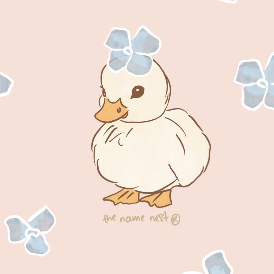 summer ducklings are our fav 🐥