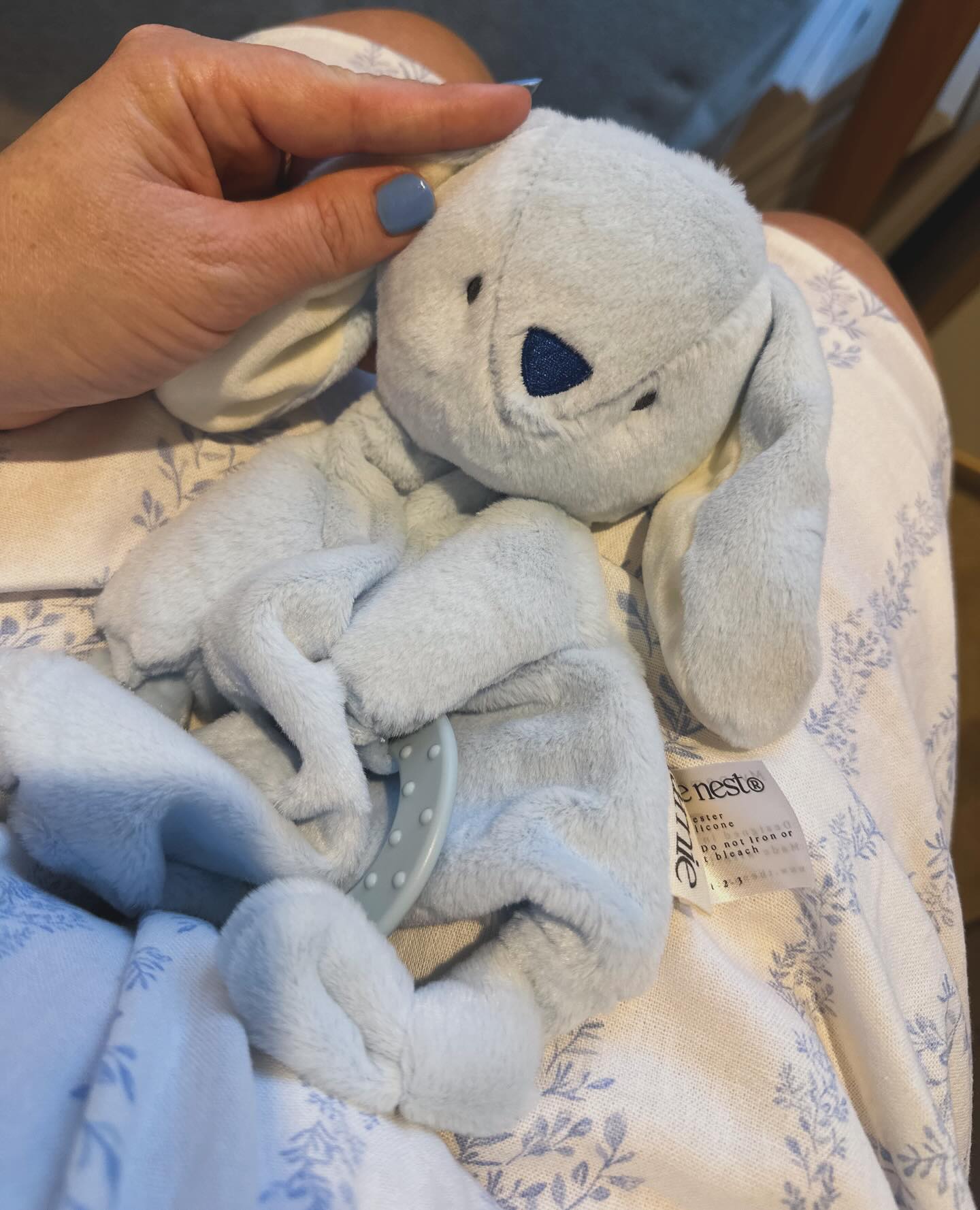 He is home 💙🩵 welcome Blue Marnie to our collection!!! May you steal hearts all over the world ✨
Available now to purchase on our website www.thenamenest.com ‘Blue Marnie’ in very limited numbers