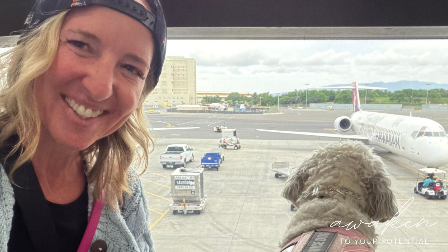 We headed to Maui for whale watching. ‘Watching’ slows me down. Quiets the mind. Reminds me how to witness without needing to explain—awe without ownership.
Grateful to witness, not interrupt.
To be present, not perform. The ocean and its most intelligent, majestic creatures speak when we’re quiet enough to hear.
Tap the link in our bio to explore personal transformation and spiritual guidance.
