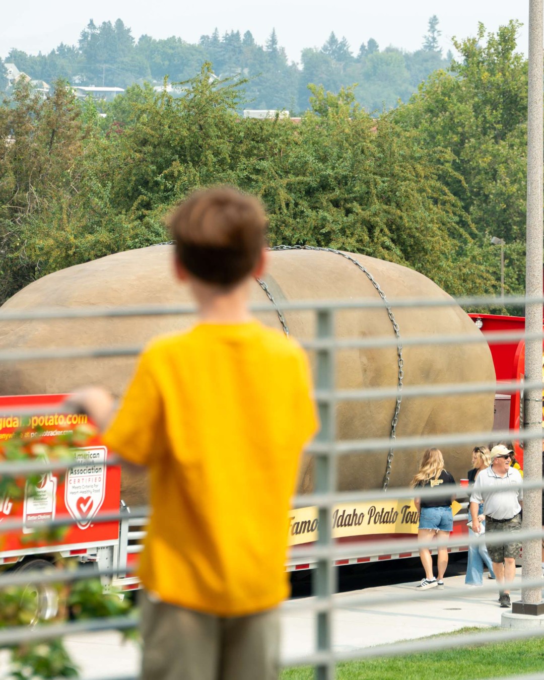 #NationalTaterDay is big potatos at U of I... literally. 🥔💛