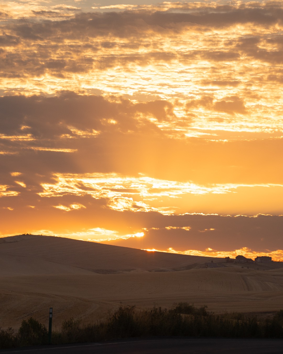 Showing off the beautiful place we call home.. 🌲🌄
#UIdaho #Nature #Photography #Idaho