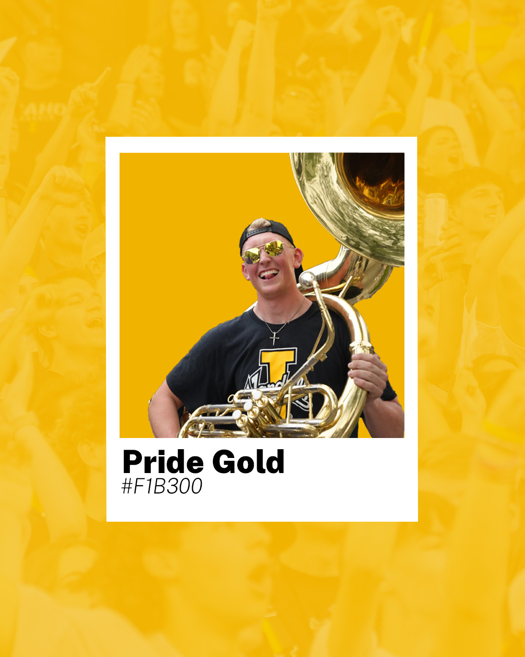 "Came a tribe from the North, brave and bold, bearing banners of Silver and Gold." 💛🩶
#CollegeColors #CollegeColorsDay #UIdaho #GoVandals