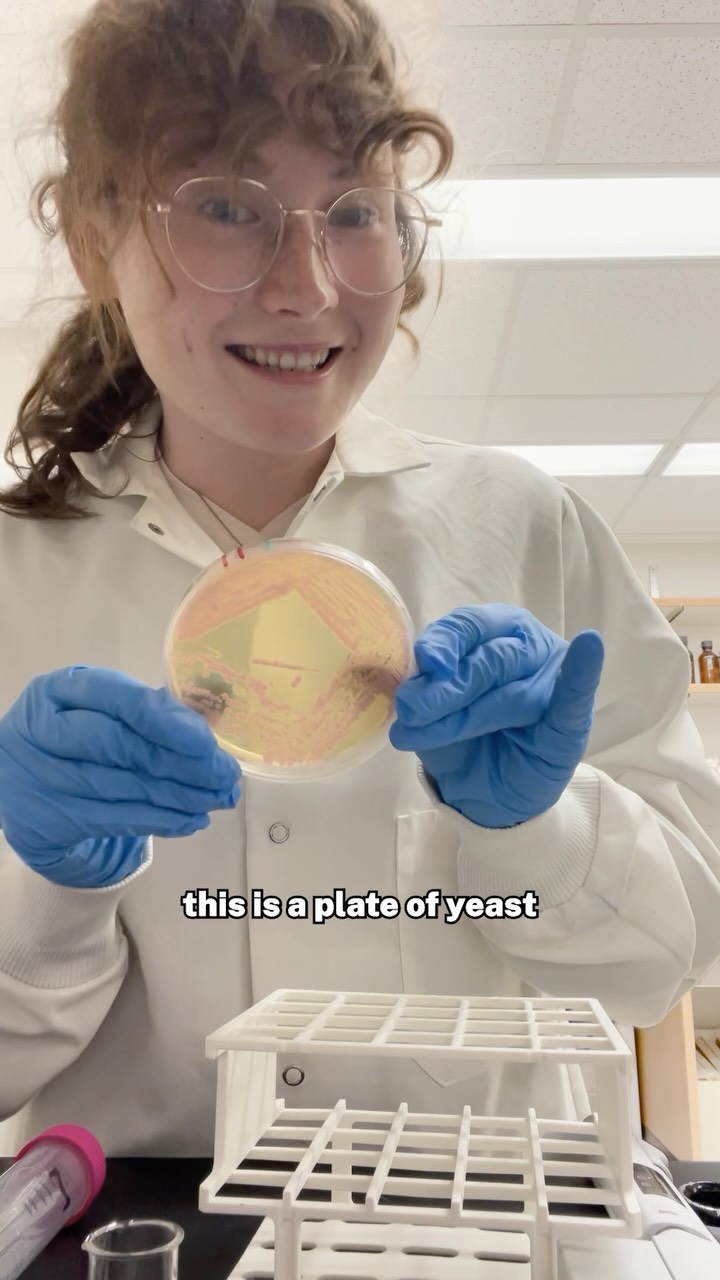 Lynda’s lab equipment ranking just dropped. 🧪
Meet Lynda, a senior double majoring in biochemistry and microbiology! She works in Dr. Paul Rowley’s yeast lab, where she studies how natural antifungal proteins called “killer toxins” attack fungi and how fungi fight back. This research could one day help scientists find new ways to treat fungal infections and prevent unwanted fungi from spoiling food and drinks like beer.
Over the past eight years, the lab has welcomed 57 undergraduate researchers!
#microbiology #biology #biochemmajor #biochemistry #science