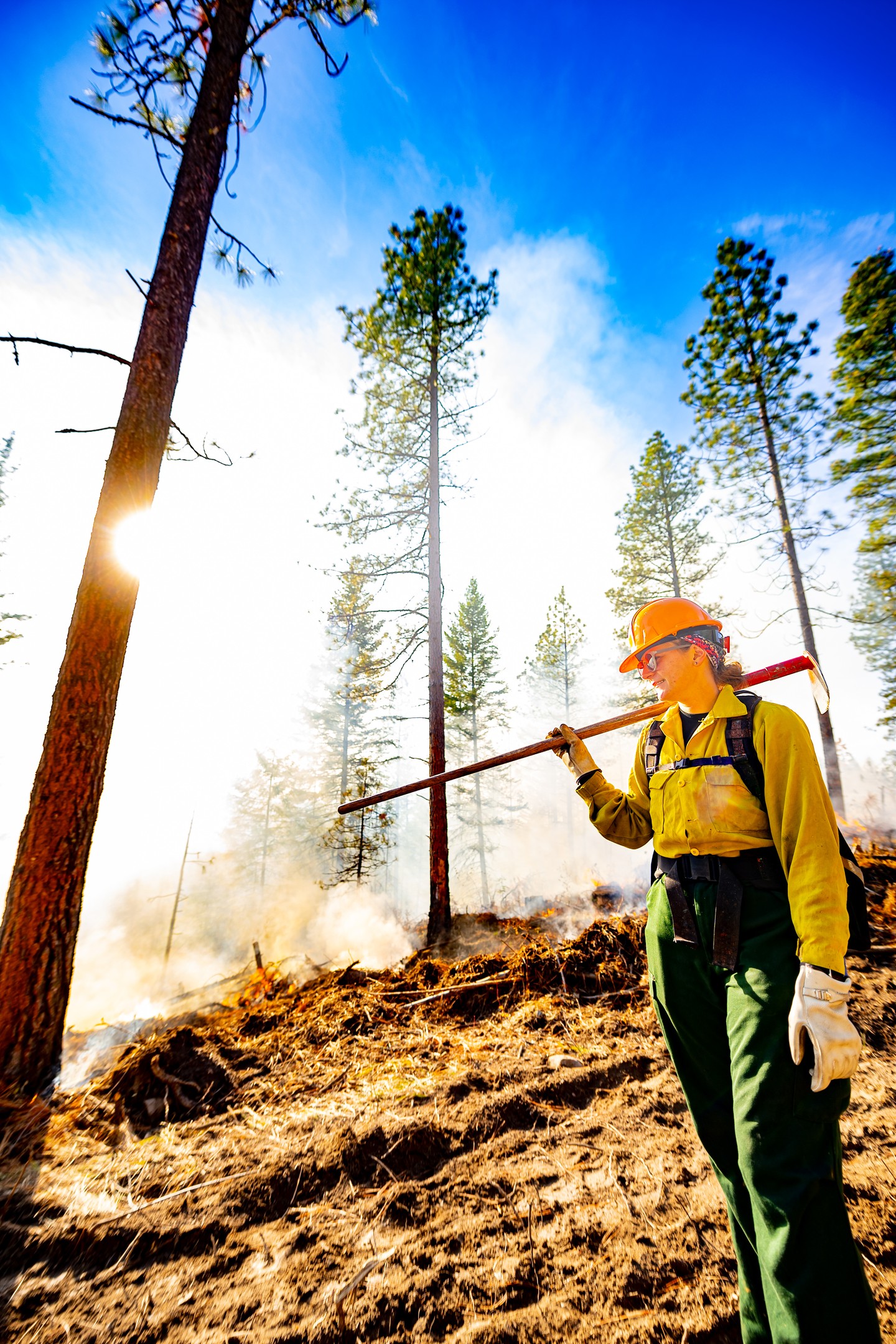 Feeling the pressure of being the only one who can prevent forest fires? We got you. 🫵🔥#FirePreventionDay
Here's a few majors to choose from:
🪵Associate of Science, Wildland Fuel and Fire Technology
🪓Bachelor of Science, Fire Ecology and Management
🔥Master of Natural Resources, Fire Ecology and Management
🤝Graduate certificate, Fire Ecology, Management and Technology